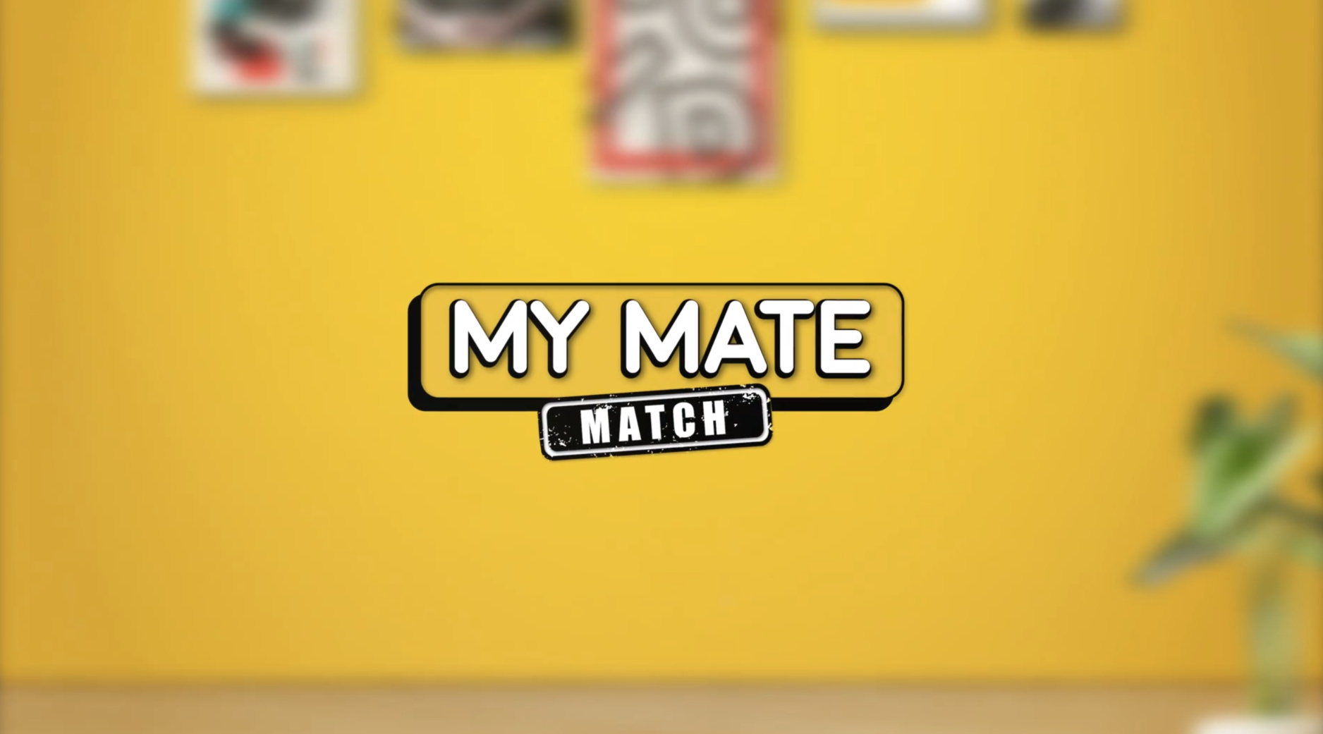 The series mate match my My Mate